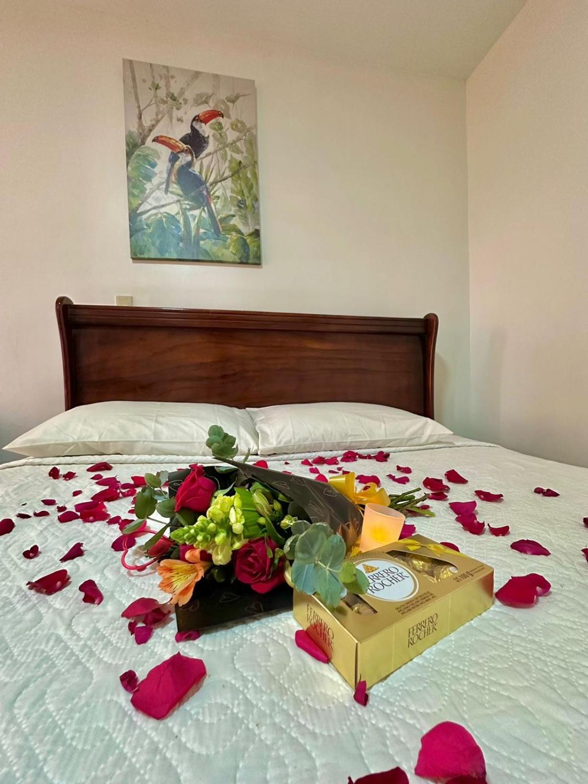 Brillasol Airport Hotel Las Ciruelas  Экстерьер фото