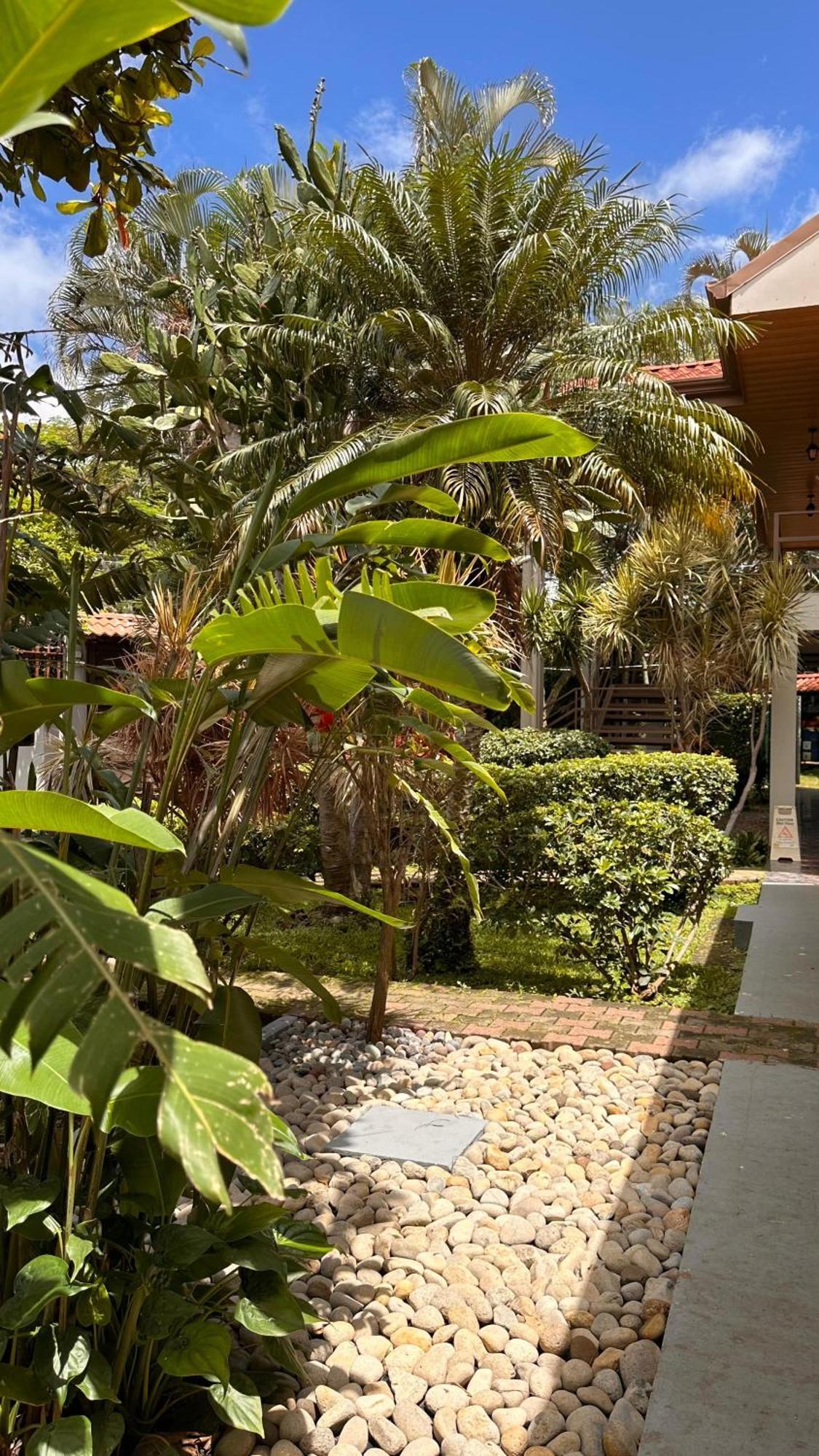 Brillasol Airport Hotel Las Ciruelas  Экстерьер фото